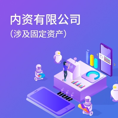 内资有限公司（涉及固定资产）