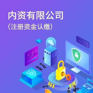 内资有限公司（注册资金认缴）