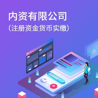 内资有限公司（注册资金货币实缴）
