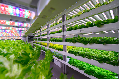 【高新技术企业资格认证】推动植物生物技术实现跨越式突破