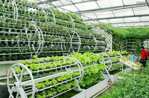 重磅！农林生物防控领域高新技术企业资格认证开始啦