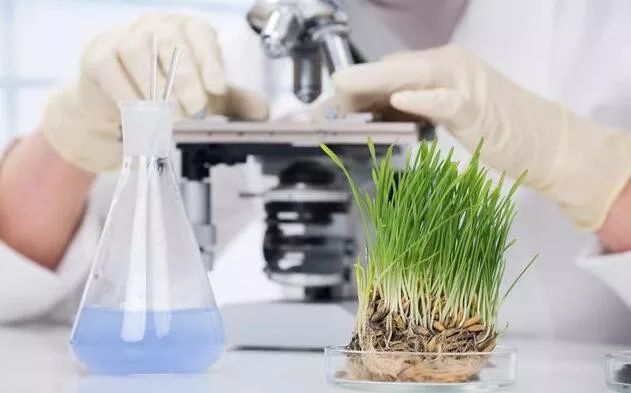 致力于推进农林生物防控领域的高新技术企业