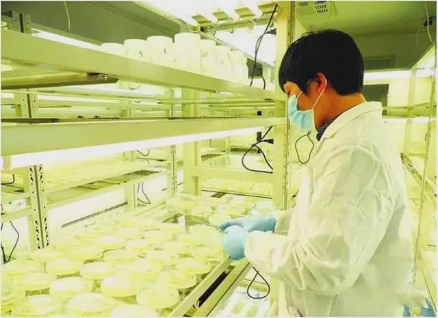 【高新技术企业资格认证】推动农业装备与信息化领域实现重大跨越
