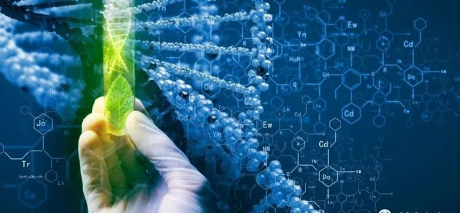【高新技术企业认证】生物合成技术助力天然药物产业转型升级