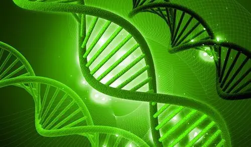 【高新技术企业】生物合成技术保障珍稀药材可持续生产