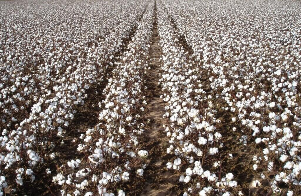 【高新技术企业】生物合成技术为中药现代化提供坚实技术基础
