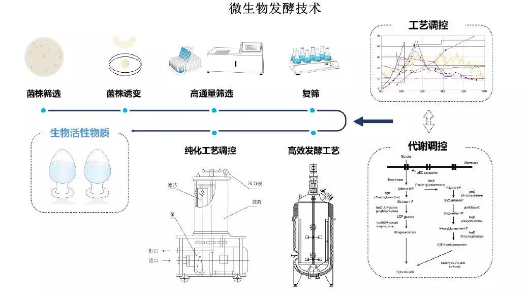 【高新认证服务】第三方机构助力微生物发酵技术企业认证