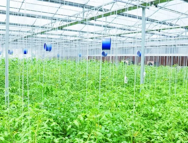 高新技术企业认证：为农业可持续发展提供有力支撑